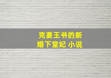 克妻王爷的新婚下堂妃 小说